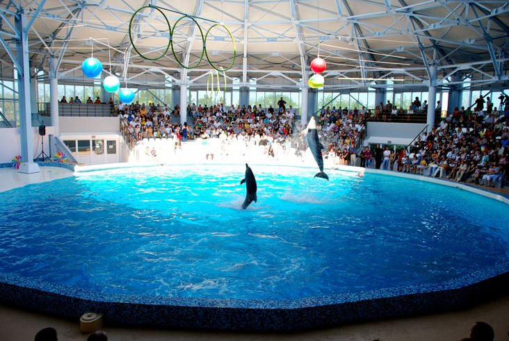 развлечения и отдых детей в Евпатории